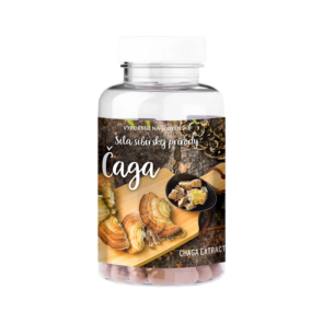 chaga