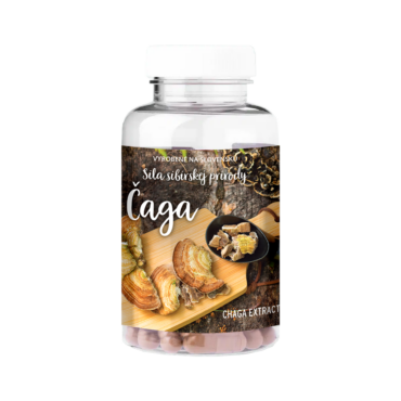 chaga